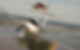 two planes flying