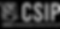 Cirrus CSIP Program