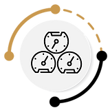 instrument rating icon